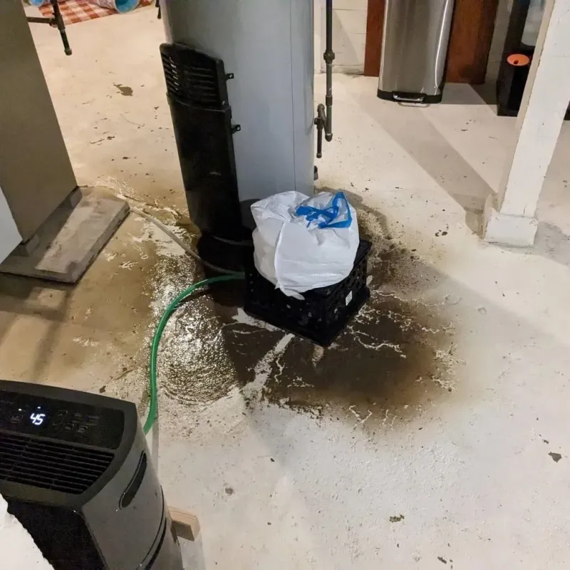 Sewage Backup Cleanup Service in Montgomery County, MD